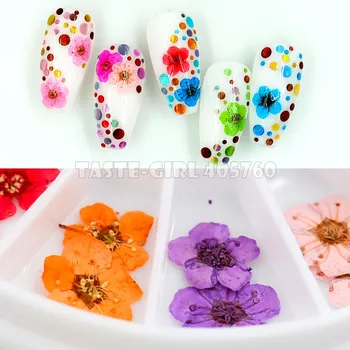 1 Roata 24BUC Colorate Naturale Frumoase Flori Uscate Nail Art Florale Decoratiuni DIY Salon de Manichiura DIY Sfaturi