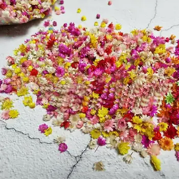 DIY Flori Artificiale Decor 100buc Flori Uscate Capul Multicolor Capul De Coroana Nunta Ghirlanda Manual Scrapbooking Ambarcațiuni