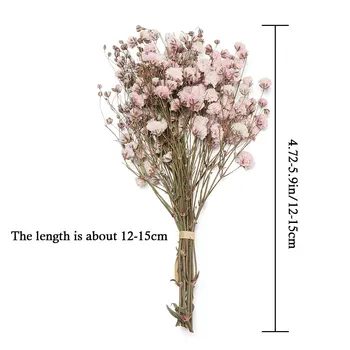 Mini Decorative Flori Uscate Babysbreath Buchet de Flori Naturale, Plante păstra Florale pentru Nunta Decor Acasă