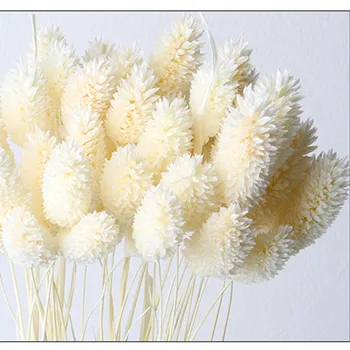 Natural Uscat Bijuterie Iarba Buchet de Flori Reale DIY Aranjament Iarbă Artificială Grădină Exterior Volumul de Onoare Floare Brățară