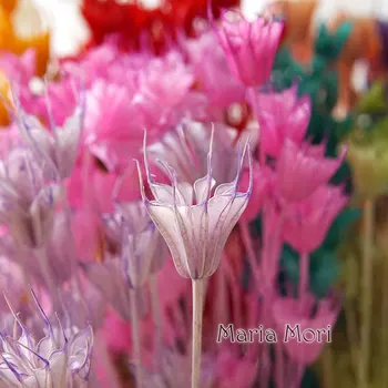 Octagon Flori Acasă Decorare DIY Manual Uscate Conservate Flori de Nunta Buchet de 50cm