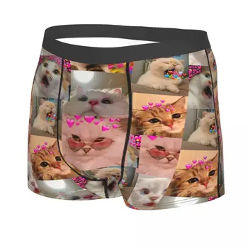 Om Amuzant Pisica Boxeri Pantaloni Scurți, Chiloți Poliester Lenjerie Kitty Drăguț Homme Noutate Chiloți
